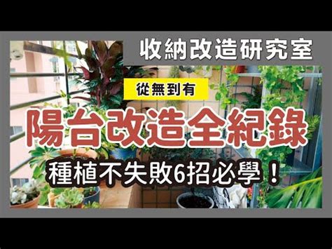 陽台植栽推薦|【陽台植栽】15 種陽台植栽推薦｜新手也能輕鬆養出 